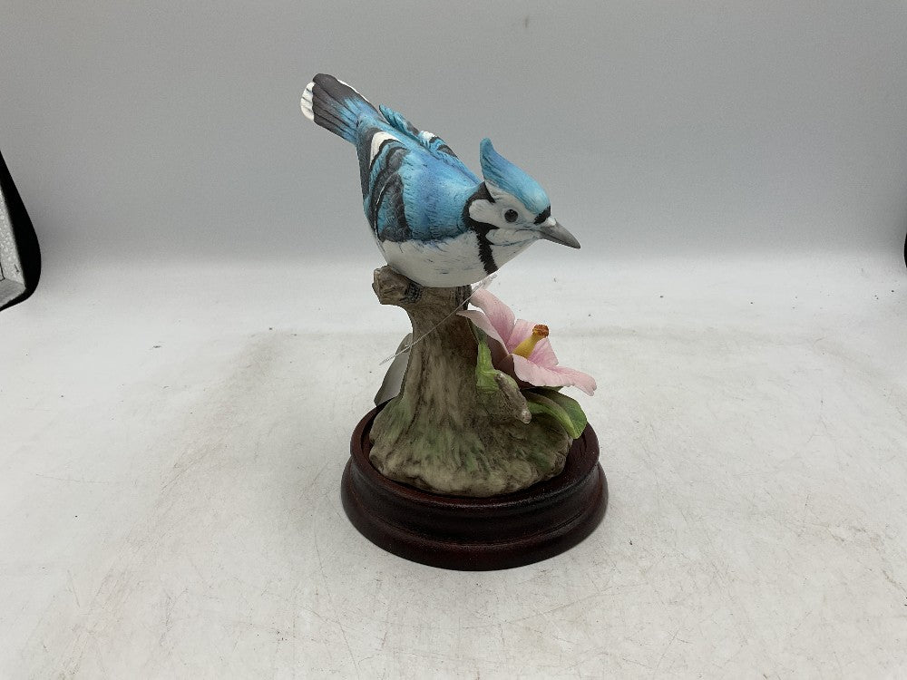 Andrea Sadek Blue Jay|288474