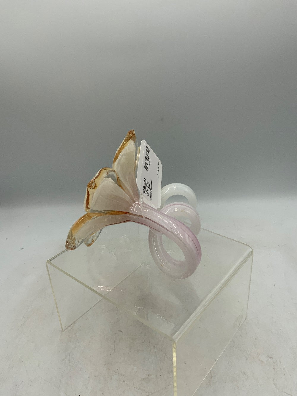 Glass Flower|289630